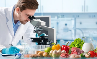 Almanya Gıda Mühendisi Maaşı 2025