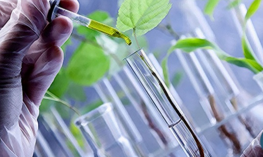 Almanya Biyoteknoloji Mühendisi Maaşı 2025